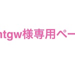 amtgw様専用ページ