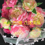 myk0112様 ご注文品