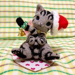 ＊スコ座りのアメショにゃんこ＊