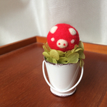 バケツ きのトン