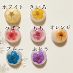 小花ひと粒イヤリング 春待ちver.