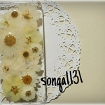 ♥coz0927様オーダー♥ 押し花ケース