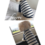 再再販❣️❣️🍁🍄秋物新作❣️袖付きボーダー🍁🌰
