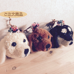 cocoaaru2013 様 専用 ミニチュアダックス 動物ぽんぽん