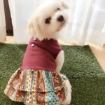 【数量限定】秋のルンルンドレス💕