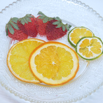 送料無料！押しフルーツ 押し花 セット