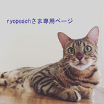 ryopeachさま専用ページです。