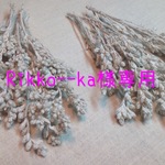 Rikko--ka様専用出品