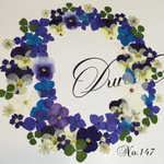 ♡sale♡ 送料無料！¥1170 ♡押し花セット♡