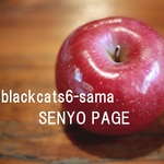 blackcats6様・専用ページ