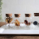 【初売り】【現品限り】植物標本　Botanical Collection■Mサイズボトル　ショート■4本セット