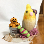オカメちゃんの小さなハロウィン♪