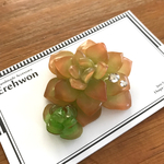 多肉植物のブローチ［受注制作］