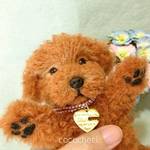 テディベアみたいなトイプードルさん  羊毛フェルト  