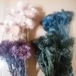 Flower蓮華様専用ページ