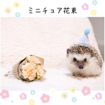 ハリネズミ　ミニチュア　花束