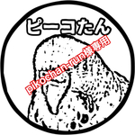 pikochan-run様専用