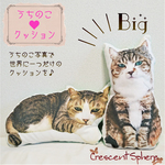 オーダーメイド*うちのこBIGサイズクッション