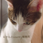 にゃんとcountry様専用