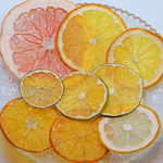 送料無料！押しフルーツ 押し花 柑橘セット