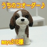 うちのコオーダー♪mayu310様オーダー シーズー