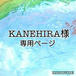 KANEHIRA様専用ページ