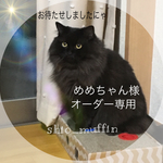 めめちゃん様オーダー商品✨