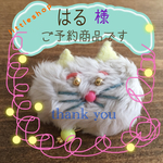  《《はる様ご予約商品》》