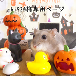 chi920様専用ページ