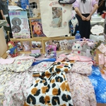 ねこ柄のセットアップ