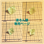 滾るん様専用ページ