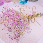 かすみ草❤︎インテリアや花材にも