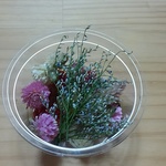 ドライフラワー⭐花材⭐1カップ⭐可愛い雰囲気の花材集めました【Aｰ9】