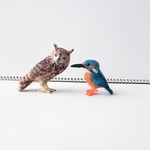 【mireさまご注文品】野鳥セット  