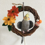 ※専用ページです※nukomaru様ご依頼、オカメインコちゃんのリース、ワキワキポーズです♪羊毛フェルト