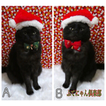 クリスマスモコモコ蝶ネクタイ猫ちゃんの首輪
