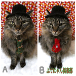 クリスマスネクタイ猫ちゃんの首輪