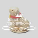 bump8110様　ご購入専用ページ