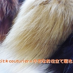 本物フォックス　端切れ２０g