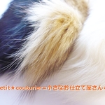 本物フォックス　端切れ２０g