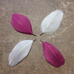 羽根　オフホワイト　パープルピンク　カン付き　ガチョウ（各2本）【4本セット】約６.5ｃｍ～7ｃｍ　『Twist+zeroツイスト＋ゼロ』	