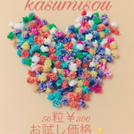 お試し価格☆かすみ草！おまけつき