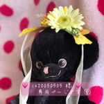 💗it20050505💗様 オーダー商品です。★秋のヘッドアクセサリー★