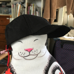 ★お客さまオーダー品   10.★