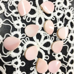 コンクシェル   10pieces