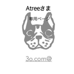 Atreeさま＊専用ページ＊スエード調ストラップ