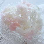 ソフトあじさい彩　ホワイト×ピンク