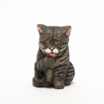 コルクの毛づくろいキジトラ猫