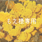 ☆もえ様専用☆