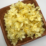  紫陽花 300(イエロー)